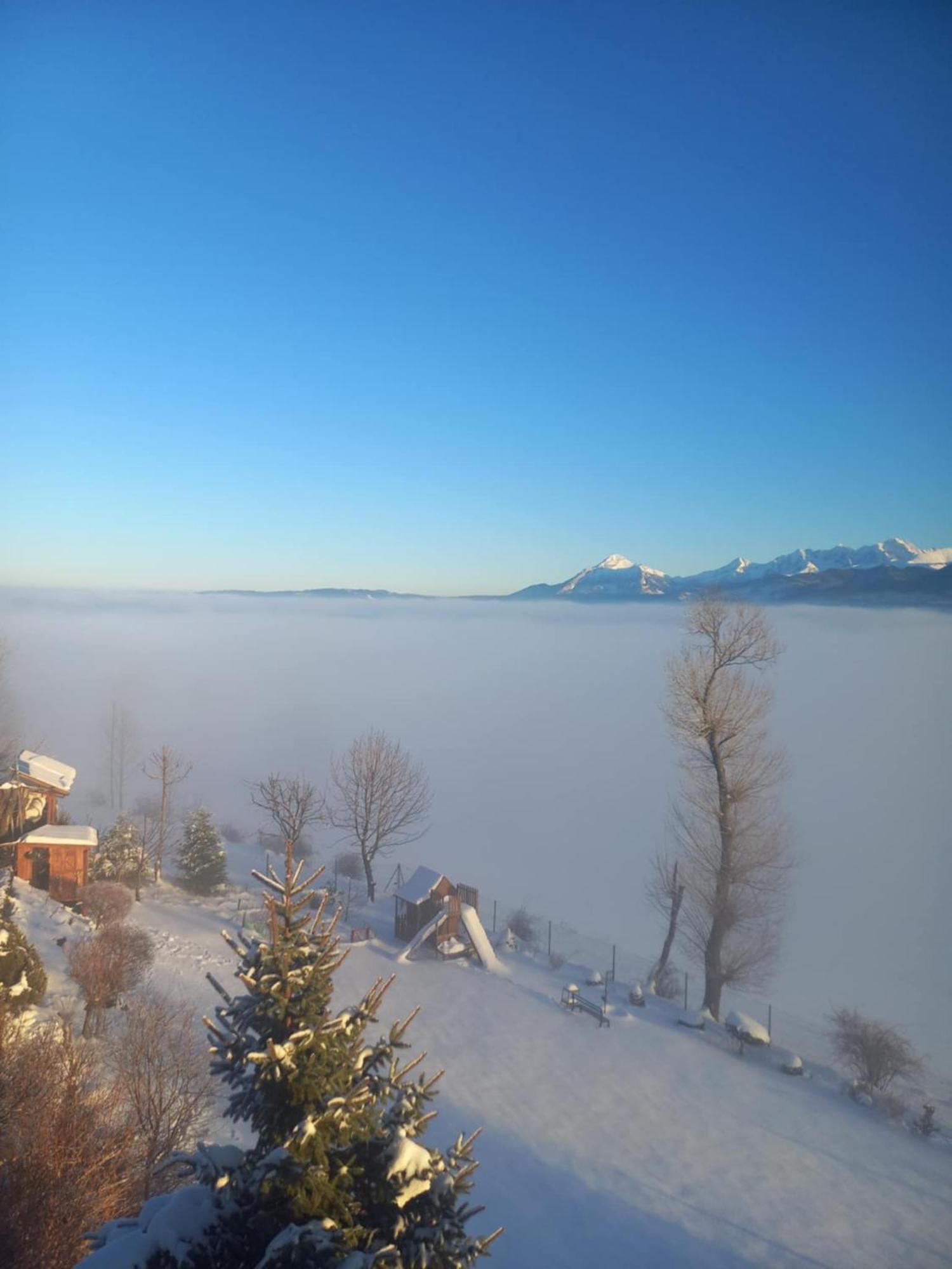 Widokowy Zakatek U Kamila Apartman Zakopane Kültér fotó